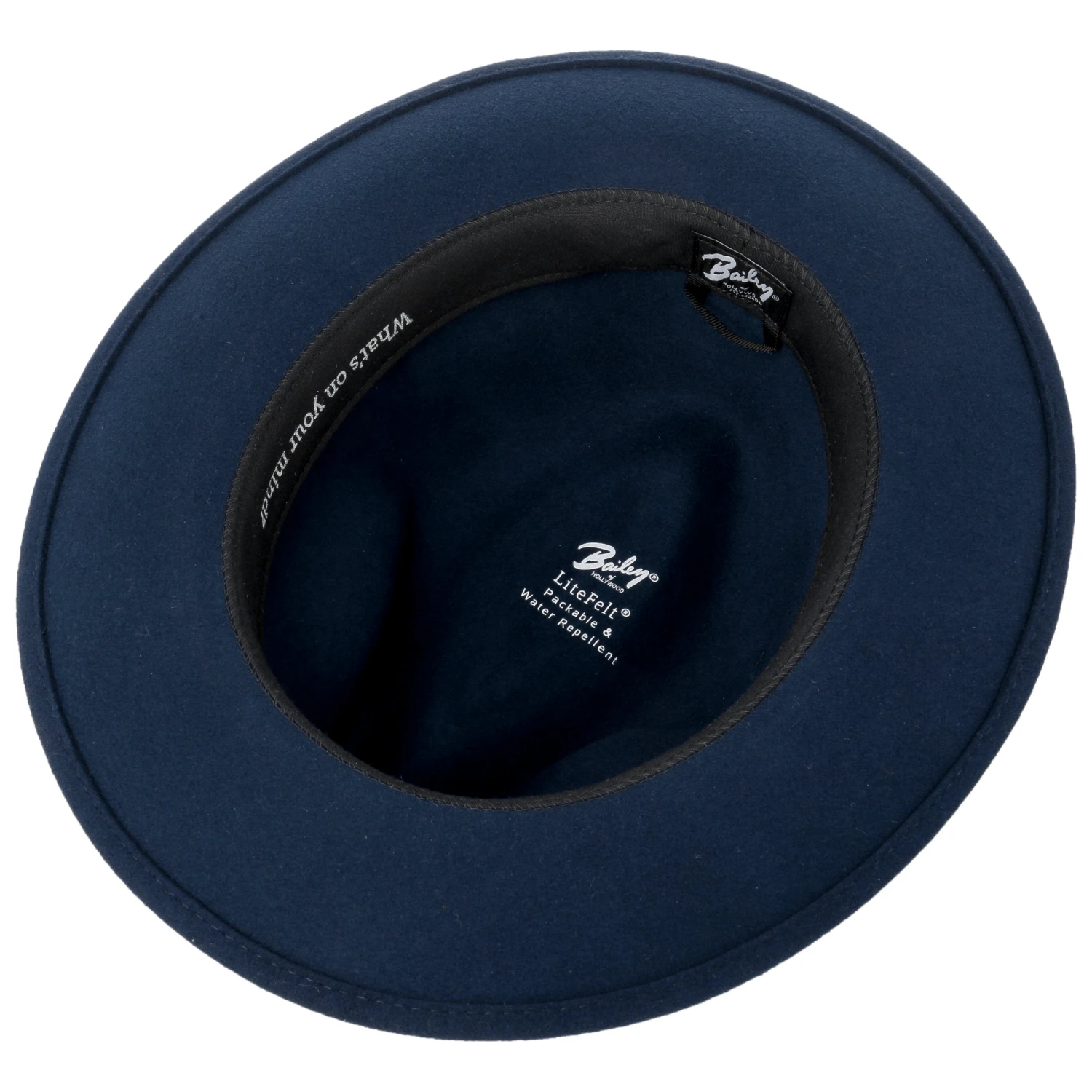 Bidwell Wollhut By Bailey 1922 4 Bidwell Wollhut By Bailey 1922 – Bild 4