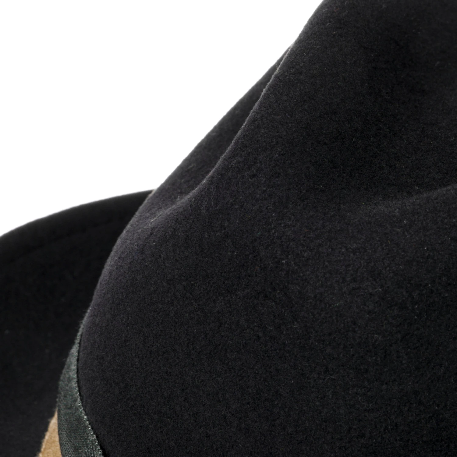 Bidwell Wollhut By Bailey 1922 10 Bidwell Wollhut By Bailey 1922 – Bild 10